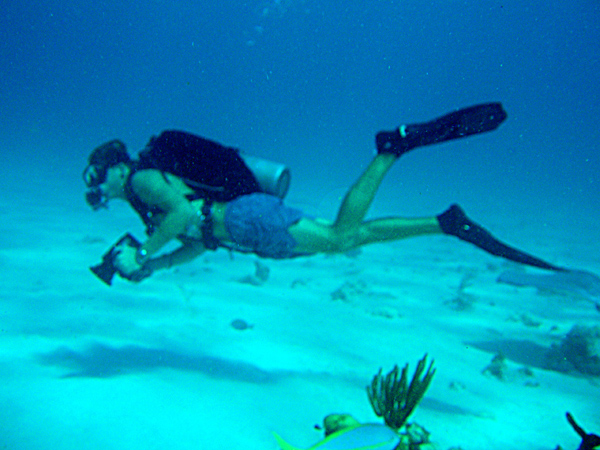 Scuba Diving