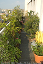 cdg20070524_0045