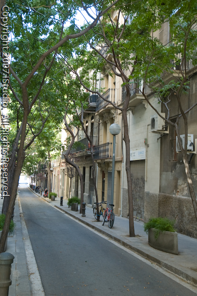 Barcelona 2007