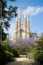 Barcelona 2007