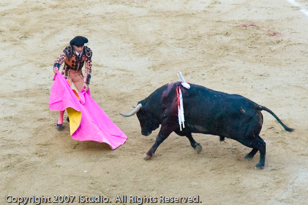 Photograph by Long Wu