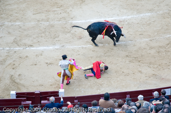 Photograph by Long Wu