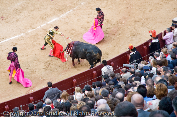 Photograph by Long Wu