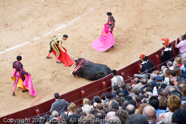 Photograph by Long Wu