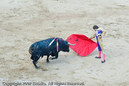 Photograph by Long Wu