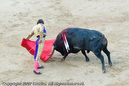 Photograph by Long Wu