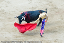 Photograph by Long Wu