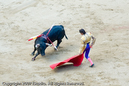 Photograph by Long Wu