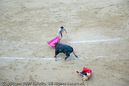 Photograph by Long Wu