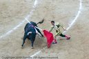 Photograph by Long Wu