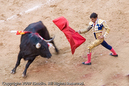 Photograph by Long Wu